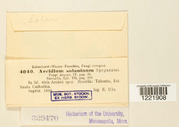 Aecidium solaninum image