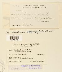 Image Associated With the Occurrence