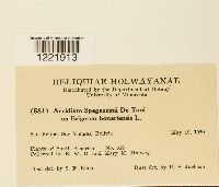 Image Associated With the Occurrence