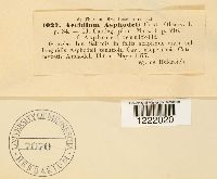 Image Associated With the Occurrence