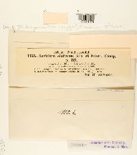 Image Associated With the Occurrence