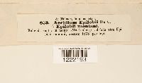Image Associated With the Occurrence