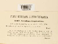 Image Associated With the Occurrence