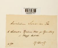 Image Associated With the Occurrence