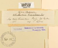 thumbnail image of current specimen