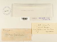 thumbnail image of current specimen