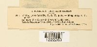 thumbnail image of current specimen