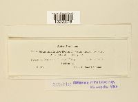 Image Associated With the Occurrence