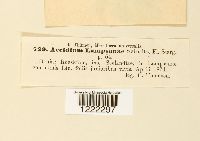 Image Associated With the Occurrence