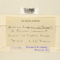 Image Associated With the Occurrence