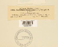 Image Associated With the Occurrence