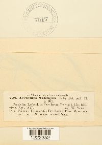 Image Associated With the Occurrence