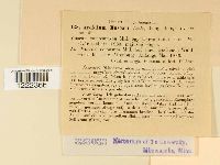 Image Associated With the Occurrence