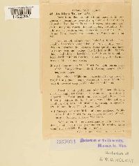 Aecidium muscari image