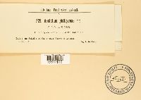 Image Associated With the Occurrence