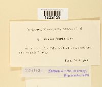 Image Associated With the Occurrence