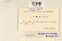 Image Associated With the Occurrence