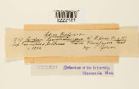 thumbnail image of current specimen