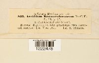 Image Associated With the Occurence