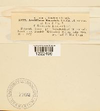 Image Associated With the Occurrence