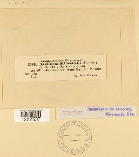 Image Associated With the Occurrence