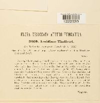 Image Associated With the Occurrence