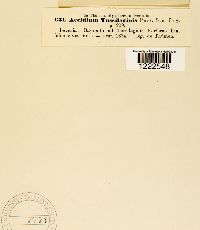Image Associated With the Occurence