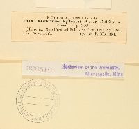 Image Associated With the Occurrence