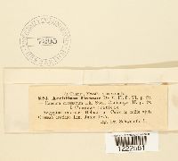 Image Associated With the Occurrence