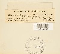 Image Associated With the Occurrence