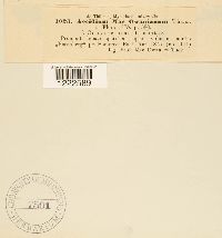 Image Associated With the Occurrence