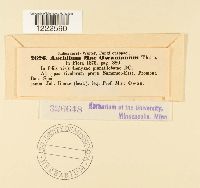 Image Associated With the Occurrence