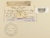 Image Associated With the Occurrence