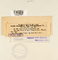 Image Associated With the Occurrence