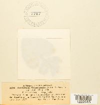 Image Associated With the Occurrence