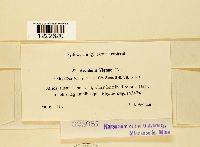 Image Associated With the Occurrence