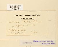 Image Associated With the Occurrence