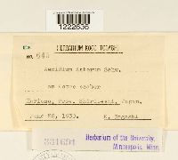 Image Associated With the Occurrence