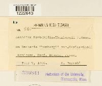 Image Associated With the Occurrence