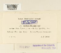 Image Associated With the Occurrence