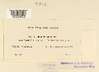 Image Associated With the Occurrence