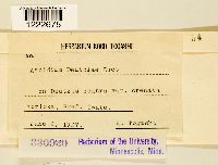 Image Associated With the Occurrence