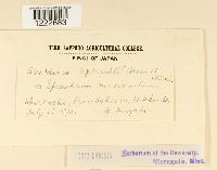 Image Associated With the Occurrence