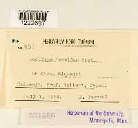 Image Associated With the Occurrence