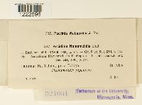 Image Associated With the Occurrence