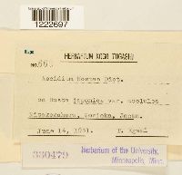 Image Associated With the Occurrence