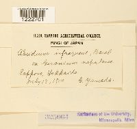 Image Associated With the Occurrence