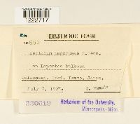 Image Associated With the Occurrence