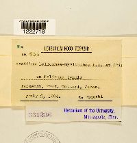 Image Associated With the Occurrence