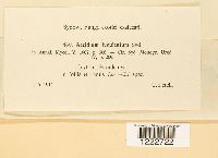 Image Associated With the Occurrence